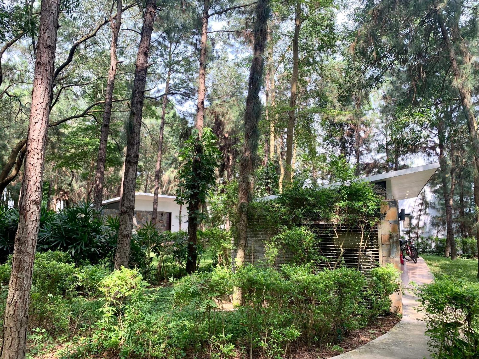 Hilltop Dai Lai H230 Villa Hanoi Zewnętrze zdjęcie
